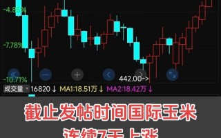 美国玉米期货行情将如何走？