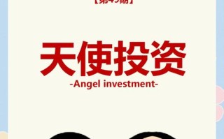 私募与天使投资，如何选？