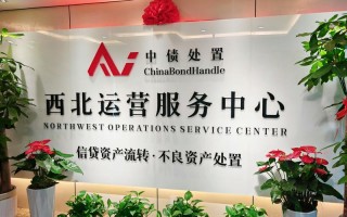 北京银新投资有限公司是做什么的？