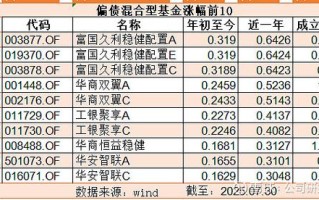 基金指数型混合型区别