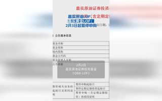 南方原油基金嘉实原油表现如何？
