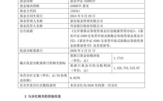 基金代码217005是什么基金？