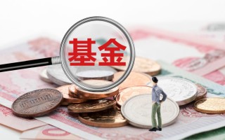 上海朱雀投资实力究竟如何？