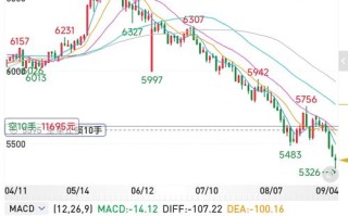 国际期货601878今日行情如何？