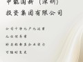 中能财富投资有限公司