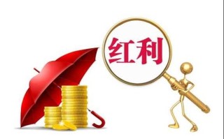 红利再投资具体指什么？