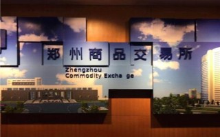 郑州期货交易所太黑了
