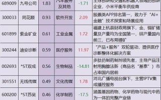 阿布达比投资局重仓股