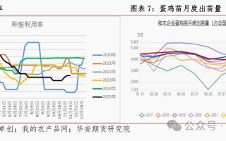2025期货市场走势如何？关键机会在哪？