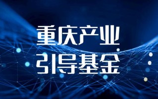产业投资基金与引导基金有何关联与区别？