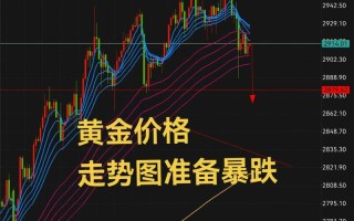 002236基金未来走势如何？