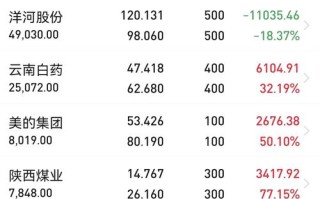 近期投资的股票有哪些？