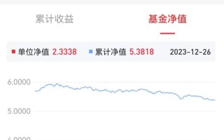 002605基金净值今日是多少？