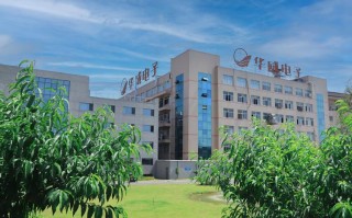 上海兴聚投资管理有限公司有何背景与业务？