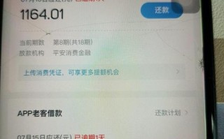 拍拍贷散标逾期，投资者该如何应对？