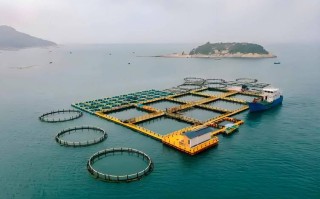 海基基金管理有限公司有何独特优势？