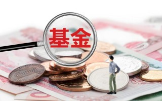 投资基金的基金叫什么？