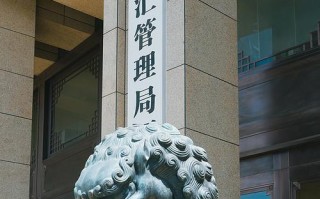 境外投资外汇管理局如何监管？