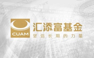 汇添富新兴消费股票基金怎么样？