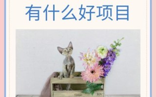 有哪些靠谱的投资好项目？