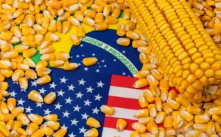 美国玉米期货国际期货有何投资趋势？