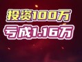 投资100万能做什么实体？