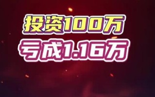 投资100万能做什么实体？