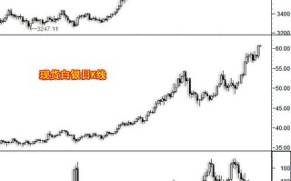 施瓦格期货基本面分析核心是什么？