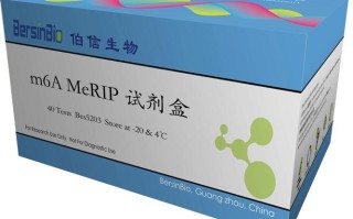 阿鑫一号保本混合基金保本吗？收益如何？
