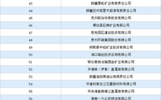 国内知名的投资公司