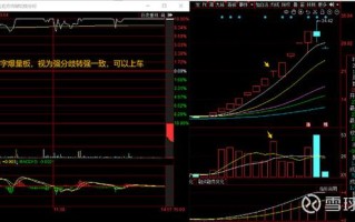 螺纹钢期货涨停板制度有何调整与影响？