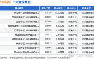 华安策略优选混合基金表现如何？