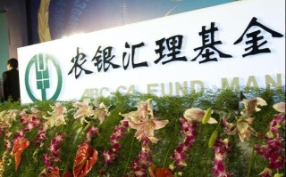 农银汇理行业成长基金怎么样？