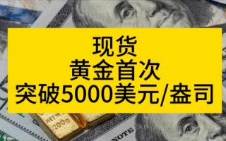 现货投资，到底该怎么投？