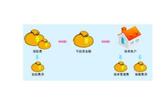 投资连接保险中的核心风险是什么？