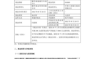 什么基金投资汽车新能源？