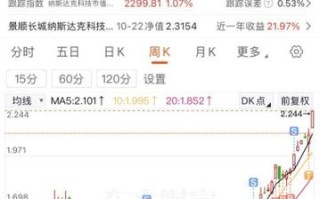 002504基金净值今日是多少？