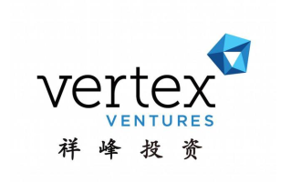 祥峰投资控股是做什么的？