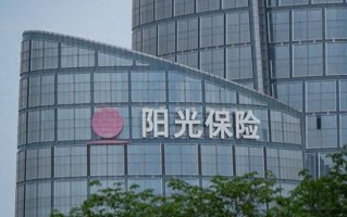 阳光私募股权投资基金如何运作？