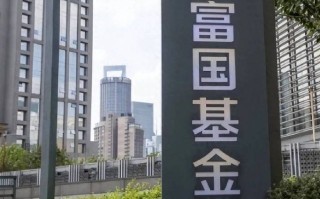 国家富国安全混合基金怎么样？