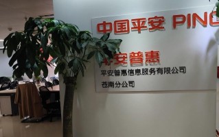 平安普惠投资咨询有限公司有何业务优势？