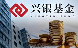 兴银基金004456怎么样？