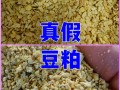 豆粕期货新手怎么入门？