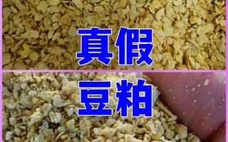 豆粕期货新手怎么入门？