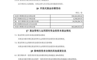 华夏大盘精选基金表现如何？