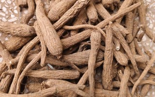 中药材期货品种具体有哪些？