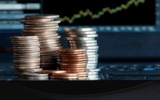 景顺新兴成长基金净值查询