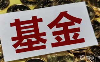 001117中欧精选基金