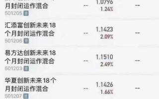 蚂蚁战略配售基金值不值得买？