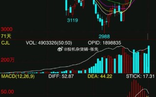 期货margins究竟如何计算？